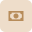 Money Icon