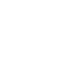 Z Logo